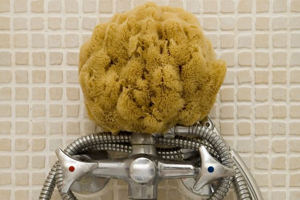 bath-sponge