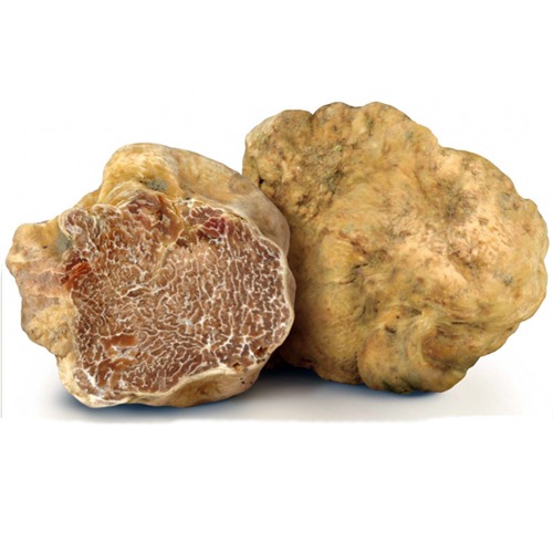 19-white-truffles