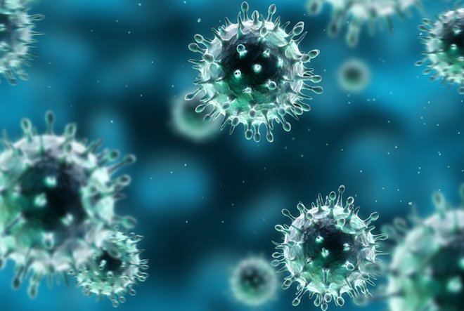 2012-flu-ordinary-still-devastating-virus-660x443