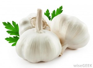 garlic