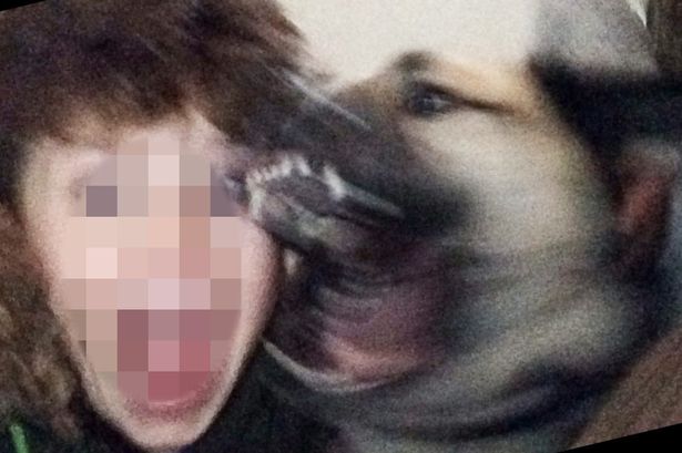 PAY-Dog-selfie-bite-Digby