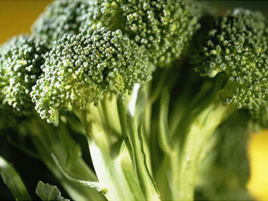 broccoli-sl