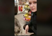 VIDEO: Agnese Rakovska atrod noklīdušu suni, bet viņu šokē benzīntanka darbinieku attieksme