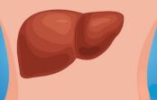 9 pazīmes, kas liecina, ka tavas aknas ir pārpildītas ar toksīniem un produkti aknu veselībai 9 pazīmes, kas liecina, ka tavas aknas ir pārpildītas ar toksīniem un produkti aknu veselībai