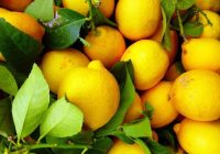 5 lietas, kuru tīrīšanai nekad nedrīkst izmantot citronu