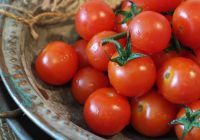 Ārsts brīdina: “Neēdiet tomātus ar mizu! Nekādā gadījumā nelieciet tomātus vienā maisā ar maizi vai sieru … “