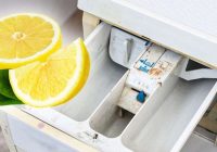 Ja veļas mašīnā veidojas pelējums un netīrs aplikums, ielieku tur pašu stiprāko līdzekli – citronu
