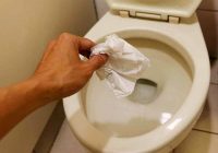 Kur mest tualetes papīru: tualetē vai miskastē? Es jums pastāstīšu, kā to izdarīt pareizi