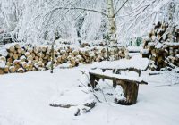 Ar ko apkaisīt sniegu dārzā decembrī, ja ir iestādīti ziemas ķiploki un sīpoli