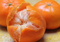 Kā izmantot mandarīnu mizas mājsaimniecībā un kulinārijā: ko dara pieredzējušas mājsaimnieces