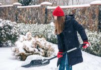 Eksperts atklāj, cik biezam sniega segumam jābūt virs dārza kultūrām ziemā. Dārzkopji, ņemiet to vērā!