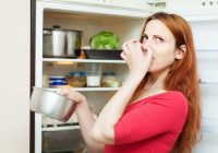 7 labākie līdzekļi, kā atbrīvoties no nepatīkamas smakas ledusskapī
