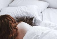 Jūs joprojām gultā laižat kaķi? Iesakām ar steigu izlasīt šo rakstu un uzzināt ko tādu, ko iepriekš nezinājāt