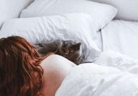 Jūs joprojām gultā laižat kaķi? Iesakām ar steigu izlasīt šo rakstu un uzzināt ko tādu, ko tiešām iepriekš nezinājāt
