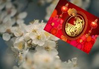 “Visuma veiksme”: 2024. gada marta vidū 4 Ķīnas horoskopa pārstāvjus gaida neticama veiksme