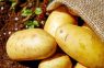 Galvenās kļūdas kartupeļu stādīšanā: tās var atstāt jūs bez labas ražas