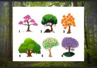 Koks norāda uz galveno tava rakstura iezīmi – izvēlies koku un noskaidro!