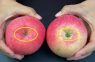 Kraukšķīgos un saldos ābolus varēsiet noteikt 1 sekundē. Tikai paskatieties uz viņiem šādā stāvoklī!