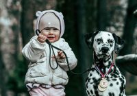 Eksperts negaidīti nosauc suņu šķirni, kura ir piemērota ģimenēm ar maziem bērniem: nekad neuzminēsiet!