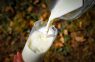 Laistiet savas dobes ar pienu: agronoms atklāj kas tad notiks ar jūsu ražu un kā tā uzlabosies