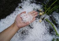 Septembris neļaus atslābināties. Meteorologi ir paziņojuši jaunu prognozi pirmajam rudens mēnesim