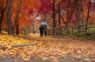 Lietus, aukstums un brāzmains vējš: meteorologs Toms Bricis precīzi atklāj dienu, kad būs jāmeklē pēc rudens jakām