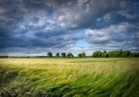 Meteorologs Toms Bricis vieš skaidrību, cik lielus postījumus šajā nedēļas nogalē var radīt lielais vējš