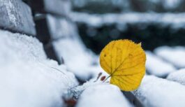 Meteorologs Toms Bricis atklāj, vai Latvijā jau pavisam drīz gaidāms pirmais sniegs