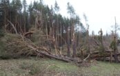 Viens no Latvijas meteorologiem skaidro vai nedēļas izskaņā sagaidīsim Dabas stihiju vai tomēr nē