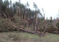 Viens no Latvijas meteorologiem skaidro vai nedēļas izskaņā sagaidīsim Dabas stihiju vai tomēr nē