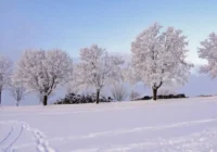 Lietuvas dabas vērotājs atklāja kādas zīmes novembrī jāvēro, lai varētu paredzēt cik barga būs ziema