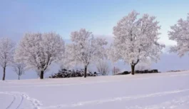 Lietuvas dabas vērotājs atklāja kādas zīmes novembrī jāvēro, lai varētu paredzēt cik barga būs ziema