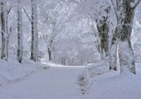 Latvijā izsludināts oranžās pakāpes brīdinājums saistībā ar laikapstākļiem tuvākajā diennaktī