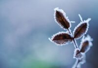 Esiet ļoti, ļoti uzmanīgi! Meteorologs Toms Bricis brīdina par laika apstākļiem, kas visā Latvijā iestāsies jau pirmdienas vakarā