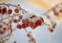 Tas sāksies no ceturtdienas un “kulmināciju” sasniegs brīvdienās: meteorologs Toms Bricis nāk klajā ar jaunākajām laika prognozēm