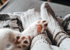 Kāpēc patiesībā tev vajag gulēt zeķēs, skaidro slavenais miega eksperts Mārtins Sīlijs – īpaši aktuāli Latvijai