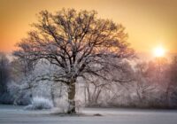 Meteorologs Toms Bricis nāk klajā ar precīzām prognozēm: beidzot skaidri zināms, kādi laika apstākļi mūs sagaida gadumijā un Jaunā gada pirmajās dienās