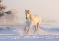 Maģiskās decembra dienas – tikai šajās trīs dienās būs iespēja pilnībā mainīt savu likteni