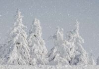 Klimatologs atklāj, ka šī ziema būtiski atšķirsies no iepriekšējām, konkrēti ar vienu fenomenu