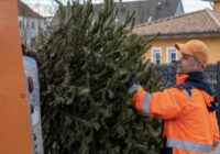 Kad pienācis laiks noņemt Ziemassvētku eglīti: fen šui meistara padomi