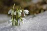 Meteorologs Toms Bricis pārliecināts, ka nākošās nedēļas laika apstākļi sasniegs jaunus rekordus, kas mūs ierindos vēsturiskajā sarakstā