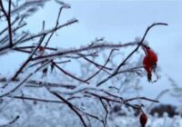 Sinoptiķi brīdina par klimata haosu – kādi laikapstākļi gaidāmi februārī