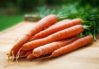 Nosaukta vienīgā septembra diena, kad nedrīkst rakt burkānus