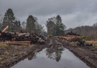 “Uz redzēšanos, šašlik!”: Meteorologi prognozi apgriež otrādi – no 1. maija austrumeiropiešus gaida ledaina duša un viesuļvētras