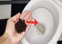 Ieberiet kafiju tualetes podā, ja vēlaties atbrīvoties no nosēdumiem un nepatīkama aromāta