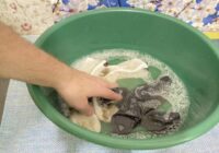 Pat ļoti netīras zeķes kļūs tīras: veids, kā atjaunot krāsu un baltumu apģērbam