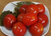 Lieliski spainī marinēti tomāti –  gatavi 4 dienās