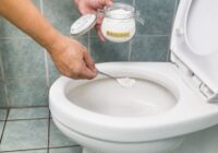Šķipsniņa sāls, un tualete mirdzēs: Cik reāli tas var darboties