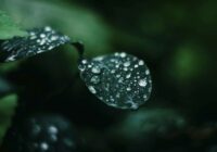 Latvijas meteorologi nāk klajā ar prognozi: nedēļas sākums silts un saulains, bet no 29.maija viss strauji mainīsies
