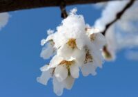 Vasara ir atcelta – izskan skumja meteorologu prognoze, ka aukstie cikloni mainīs laikapstākļus